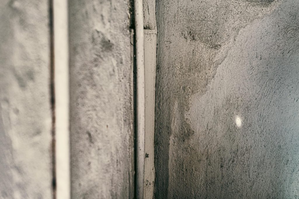 Mold After Water Leak Apartment Los Angeles Proving Negligence, Documenting Damages, and Building a Strong Claim